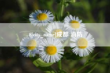 神木成都 消防