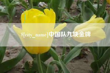 神木中国队九块金牌