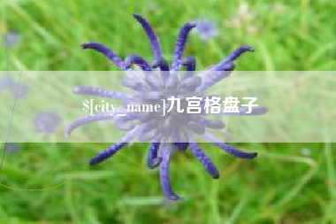 神木九宫格盘子