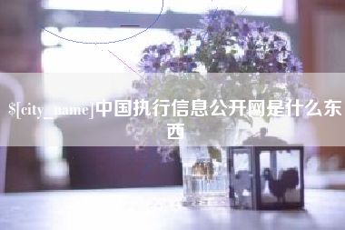 神木中国执行信息公开网是什么东西