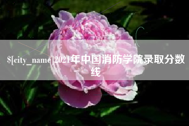 神木2021年中国消防学院录取分数线