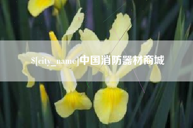 神木中国消防器材商城