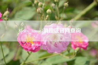 神木消控证官网查询