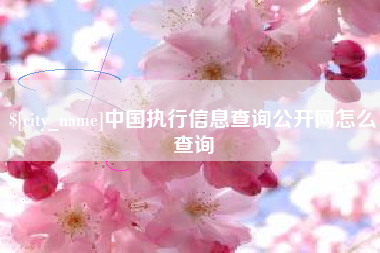 神木中国执行信息查询公开网怎么查询
