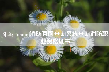 神木消防官网查询系统查询消防职业资格证书