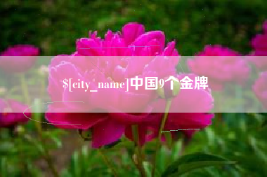 神木中国9个金牌