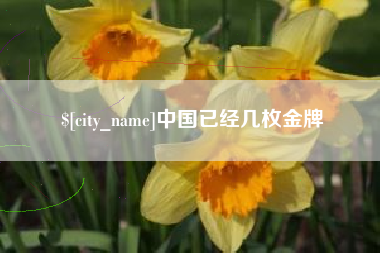 神木中国已经几枚金牌