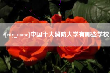 神木中国十大消防大学有哪些学校