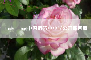 神木中国消防中小学公开课回放