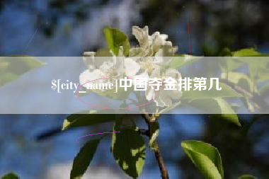 神木中国夺金排第几
