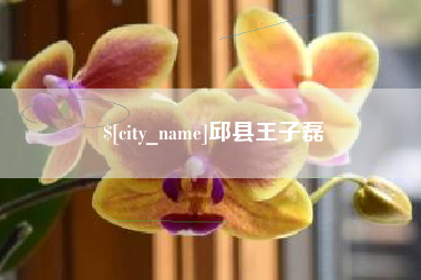 神木邱县王子磊