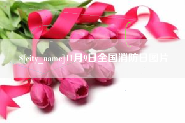 神木11月9日全国消防日图片