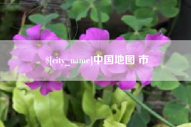 神木中国地图 市