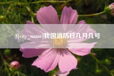 神木我国消防日几月几号