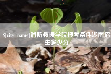 神木消防救援学院报考条件湖南招生多少分