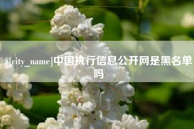 神木中国执行信息公开网是黑名单吗