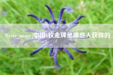 神木中国6枚金牌是哪些人获得的