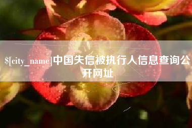 神木中国失信被执行人信息查询公开网址
