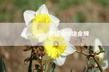 神木奥运会39块金牌