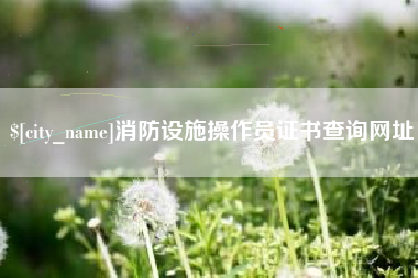 神木消防设施操作员证书查询网址