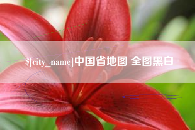 神木中国省地图 全图黑白