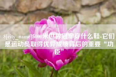 神木5000米世界冠军穿什么鞋-它们是运动员取得优异成绩背后的重要“功臣”