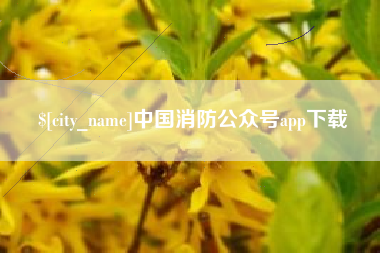 神木中国消防公众号app下载