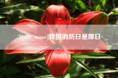 神木我国消防日是哪日