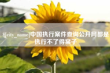 神木中国执行案件查询公开网都是执行不了得案子