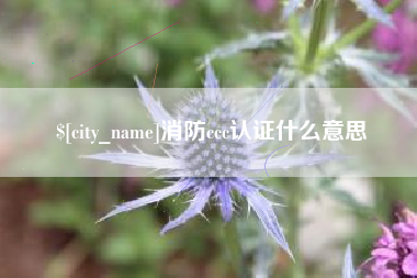 神木消防ccc认证什么意思