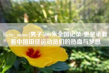 神木男子5000米全国记录-更是承载着中国田径运动员们的热血与梦想