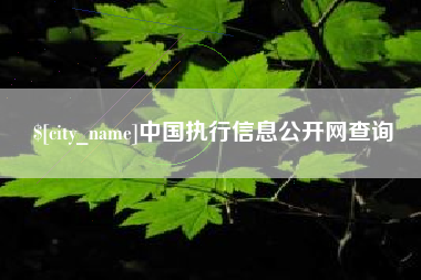 神木中国执行信息公开网查询