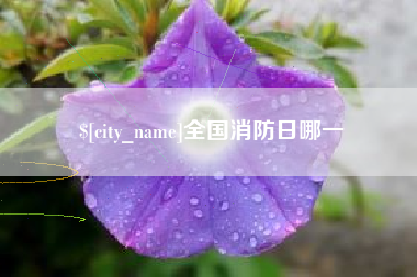 神木全国消防日哪一