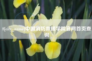 神木中国消防救援学院官网首页查询