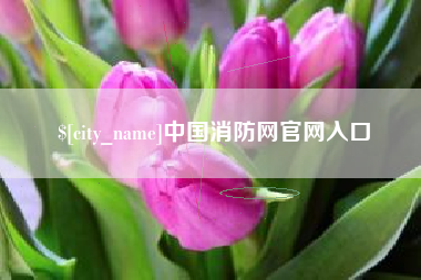 神木中国消防网官网入口