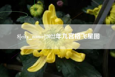 神木2022年九宫格飞星图