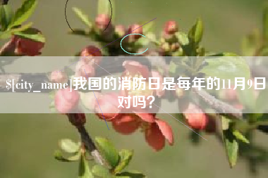 神木我国的消防日是每年的11月9日对吗？