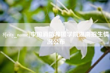 神木中国消防救援学院湖南招生情况公布