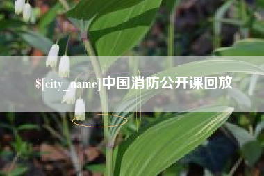 神木中国消防公开课回放