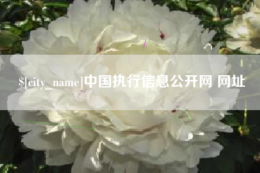 神木中国执行信息公开网 网址
