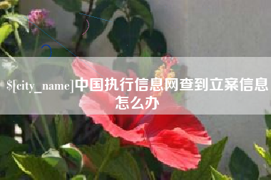 神木中国执行信息网查到立案信息怎么办