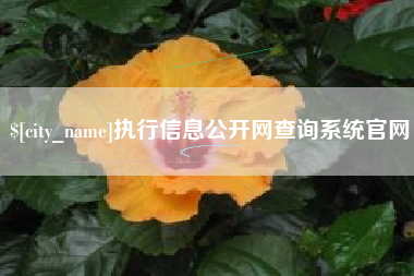 神木执行信息公开网查询系统官网