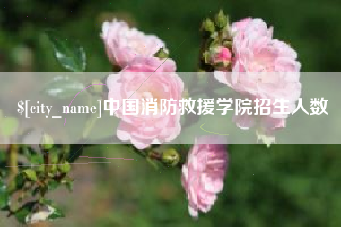 神木中国消防救援学院招生人数