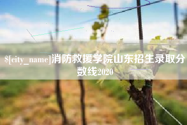 神木消防救援学院山东招生录取分数线2020