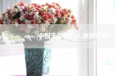 神木中国失信执行人查询官网