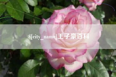 神木王子豪百科