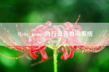 神木执行公告查询系统