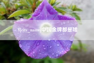 神木中国金牌都是啥