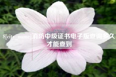 神木消防中级证书电子版查询多久才能查到
