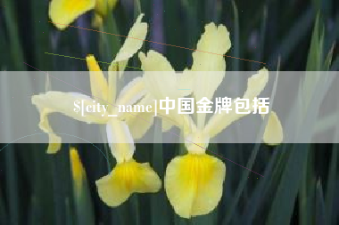 神木中国金牌包括